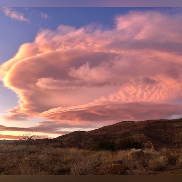 Meet your Posher, Anitra m - Picture 1 of 1